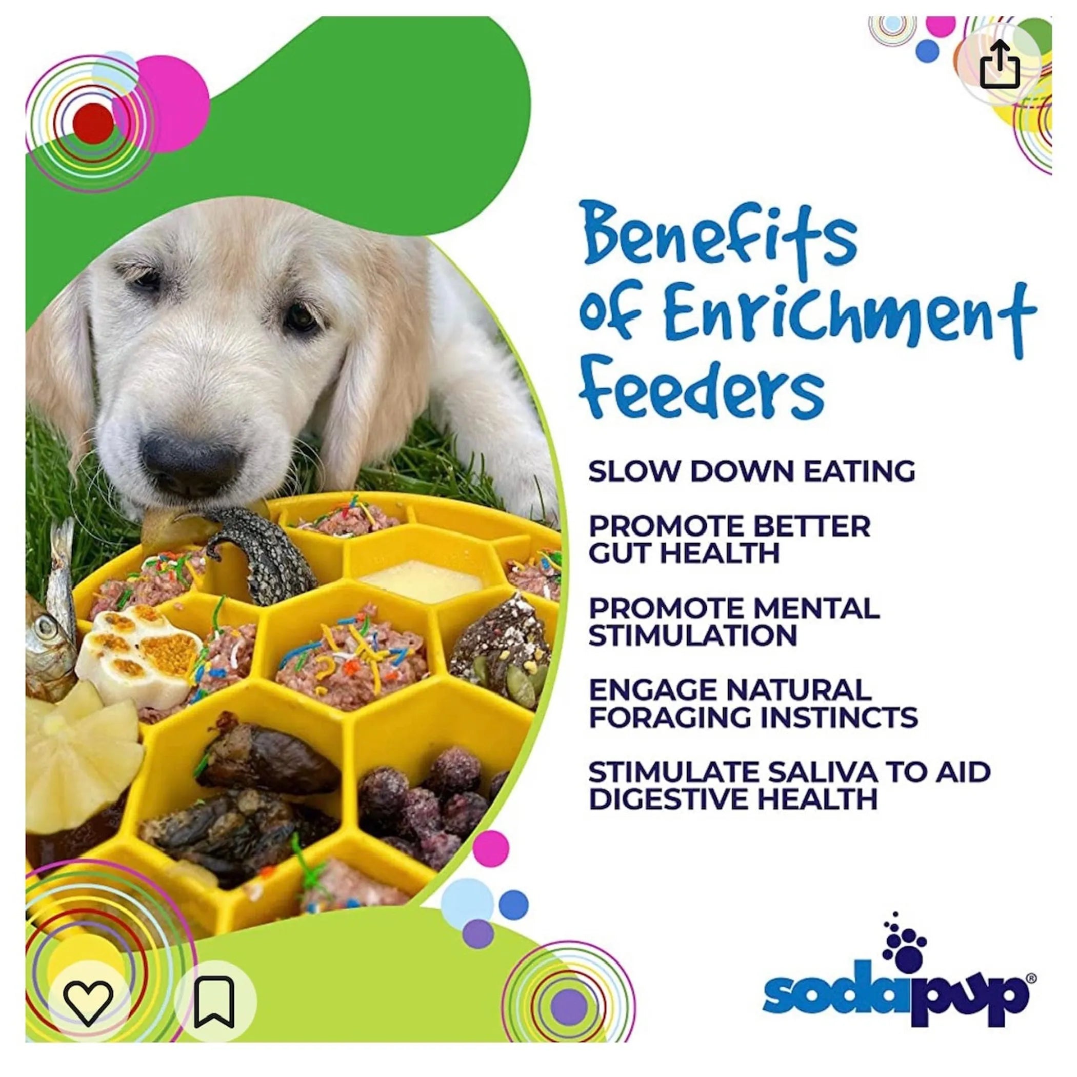 Honeycomb Slow Feeder Dog Bowl